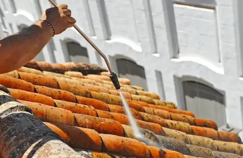 Nettoyage de toitures - Massieux